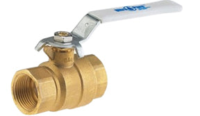 1" Ball Valve FNPT
